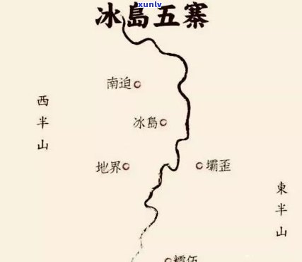 云南勐库冰岛茶的口感，《探秘云南勐库冰岛茶的独特口感》