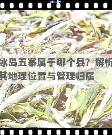 探究冰岛五寨茶的产量：具体数值与影响因素分析