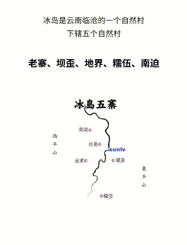 冰岛五寨是什么茶？详解其品种及特点