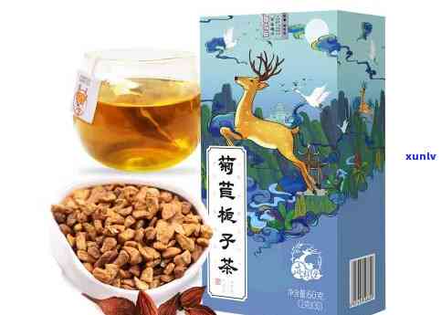 菊苣栀子茶喝一个月-菊苣栀子茶喝一个月可以吗