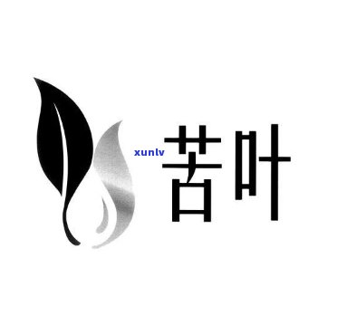 苦叶茶泡水喝的作用及功效解析