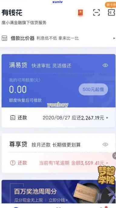 支付宝网商贷逾期十万-支付宝网商贷逾期十万工作人员会上门吗是真的吗