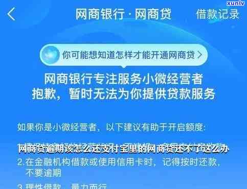 支付宝网商贷逾期4万，一年未还，怎样解决？