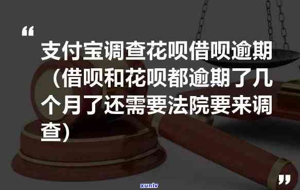 支付宝花呗逾期1万多，外访人员称将前往家中实施调查