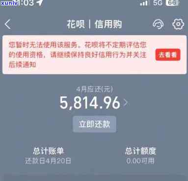 支付宝花呗逾期了1万-支付宝花呗逾期了1万怎么办