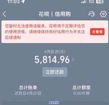 支付宝花呗逾期12万-支付宝花呗逾期12万怎么办