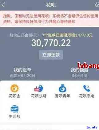 支付宝花呗逾期20万会起诉吗，支付宝花呗逾期20万是不是会被起诉？