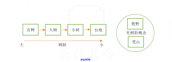 生态条件对茶叶品质的影响，生态环境：影响茶叶品质的关键因素