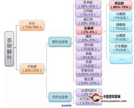 生态条件对茶叶品质的影响，生态环境：影响茶叶品质的关键因素