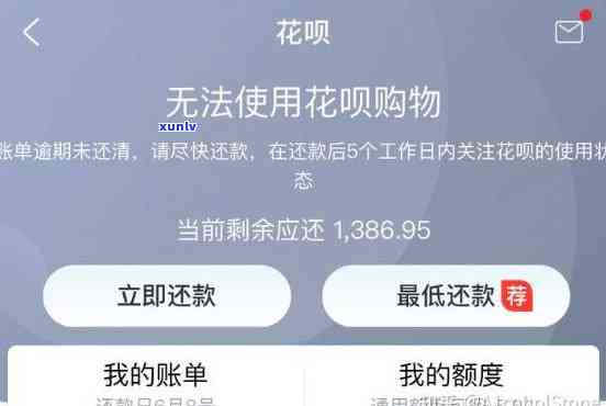 支付宝花呗逾期了4万-支付宝花呗逾期了4万怎么办