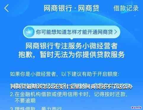 支付宝网商贷逾期12万-支付宝网商贷逾期12万可以期几年还款