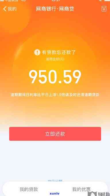 支付宝网商贷逾期12万-支付宝网商贷逾期12万可以期几年还款