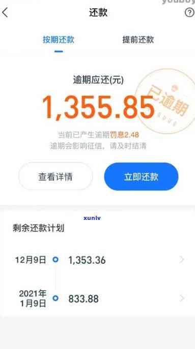 支付宝网商贷逾期12万-支付宝网商贷逾期12万可以期几年还款