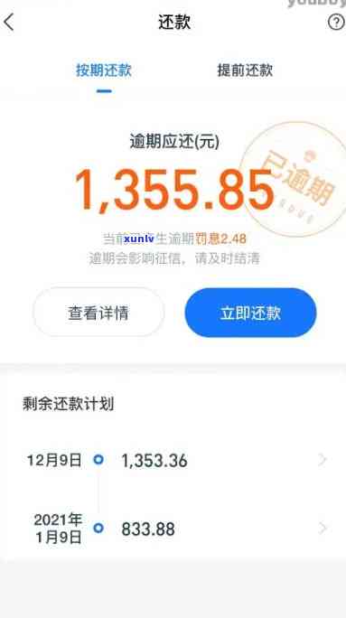 支付宝网商贷欠十万逾期了：解决  与结果解析