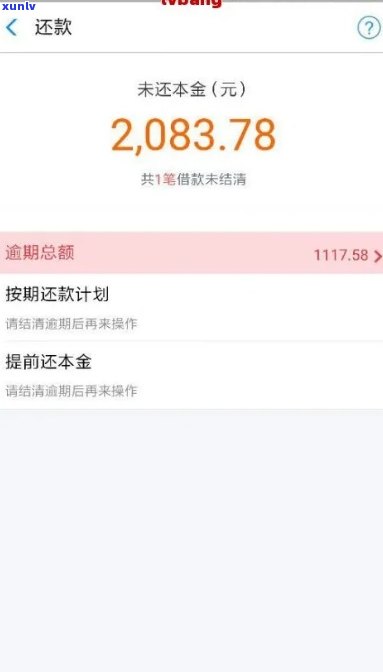 支付宝网商贷逾期13万-支付宝网商贷逾期13万每个月都还一点会被起诉吗?