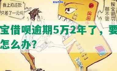 支付宝借呗、花呗逾期5万会被起诉吗？解决方案是什么？