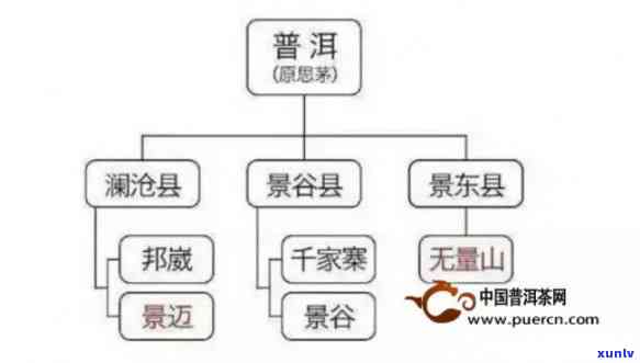 探索普洱茶的世界：蔓松、昔归与易武的风味比较