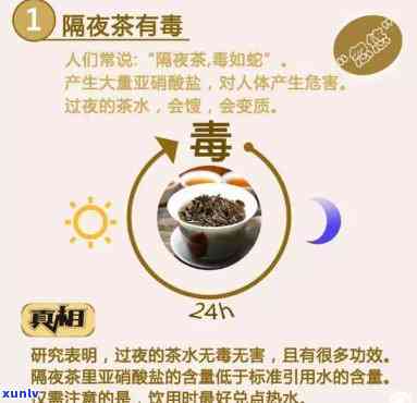 喝过夜的茶是否有害？探讨其可能的危害与影响