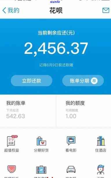 支付宝花呗借呗都逾期了，总欠款8万多，会起诉吗？