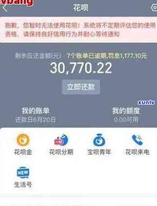 支付宝花呗借呗都逾期了，总欠款8万多，会起诉吗？