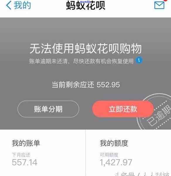 支付宝借呗花呗逾期2万会怎样，警惕！支付宝借呗、花呗逾期两万元可能带来的严重结果