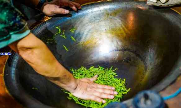 炒茶喝多了是不是上火，炒茶过量饮用是否会导致上火？