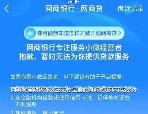 支付宝网商贷逾期半年6万怎么办，支付宝网商贷逾期半年6万，怎样解决？