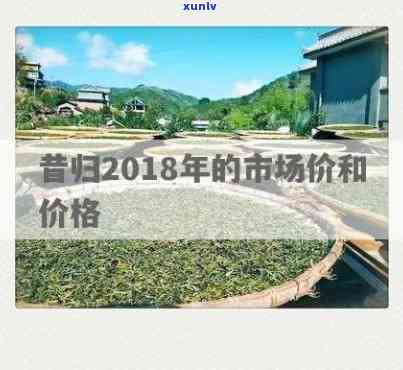 昔归2019与2020年价格对比，200克茶叶市场行情