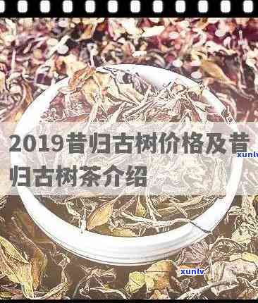 昔归2019与2020年价格对比，200克茶叶市场行情