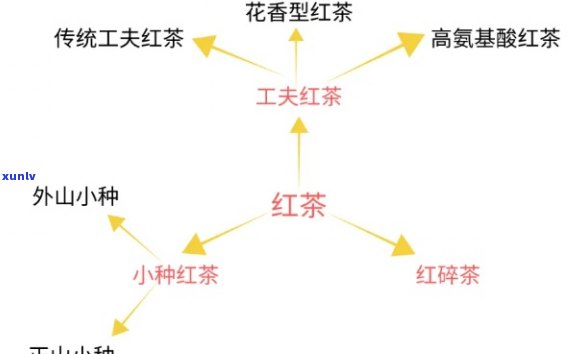 红茶是哪个节产的，探秘红茶：哪种节适合采摘与生产？