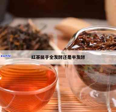 红茶属于什么发酵的-红茶属于什么发酵的茶