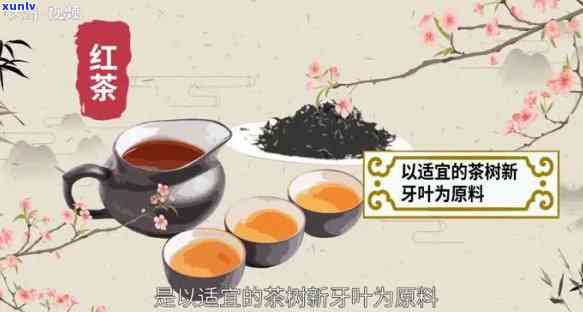 红茶属于什么发酵的-红茶属于什么发酵的茶