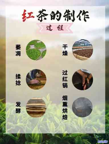 红茶怎样 *** 出来的，探秘红茶的 *** 过程：从茶叶到杯中香醇的转变