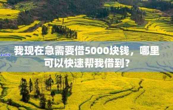 走投无路怎么最快弄到5万-走投无路怎么快速弄到5000块钱