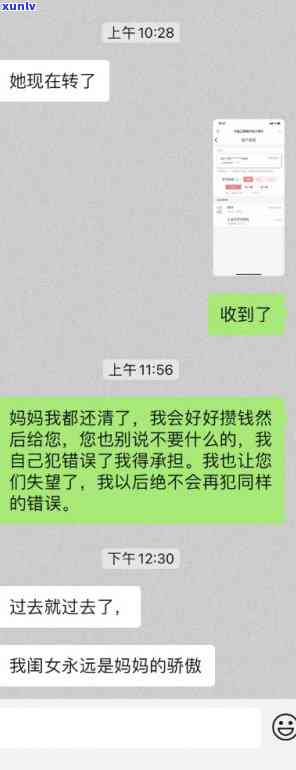 二次网贷坦白家破人亡-二次网贷向母坦白模板