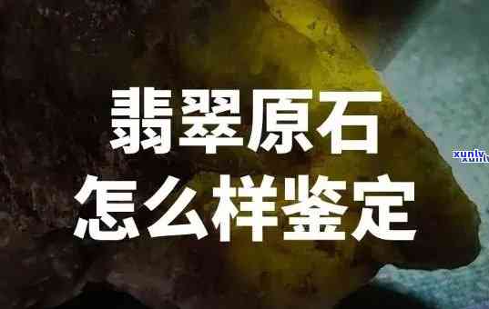 2021年信用卡逾期新政策详解：如何应对、逾期后果与还款期攻略