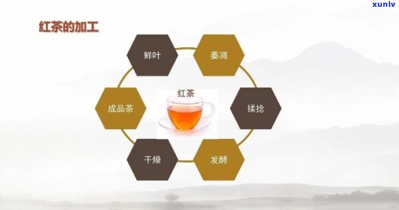 为什么红茶是红色的呢？探究其来源及 *** 过程的图片展示