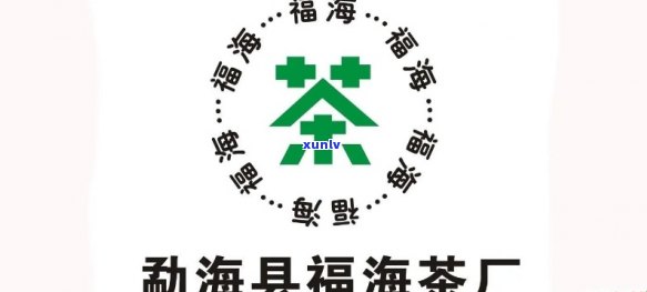 勐海裕福茶叶：公司产品介绍及茶叶品质解析