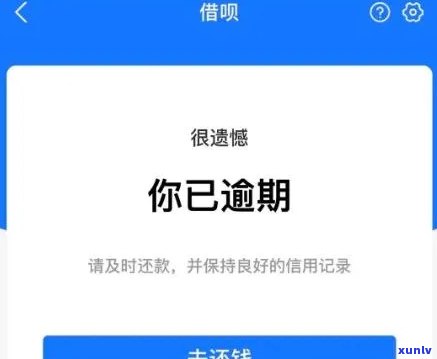 鸡血玉冻料，探秘鸡血玉冻料：独一无二的玉石珍品