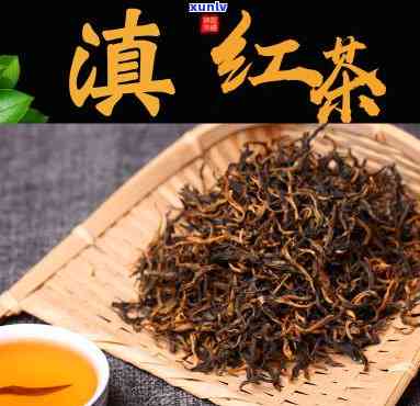 滇江红茶是哪个省的-滇江红茶是哪个省的特产