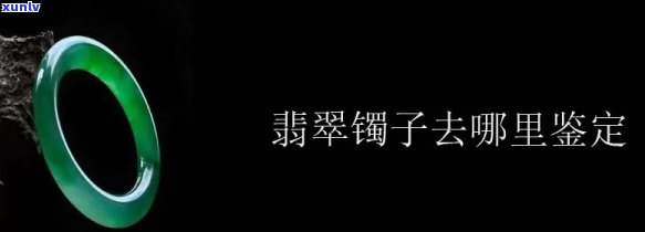 寻宝翡翠手镯鉴定视频，揭秘翡翠手镯真伪：详细寻宝鉴定视频教程