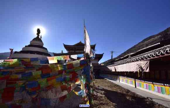 兰花飘花翡翠图片大全欣赏