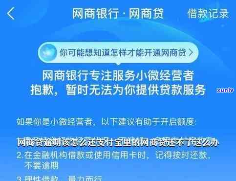 网商贷逾期，网商贷逾期：怎样应对和解决