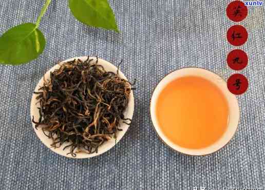 高地红茶与低地红茶：有何区别？