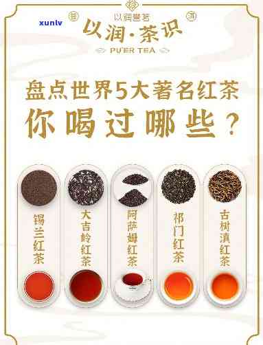 高地红茶与低地红茶：有何区别？