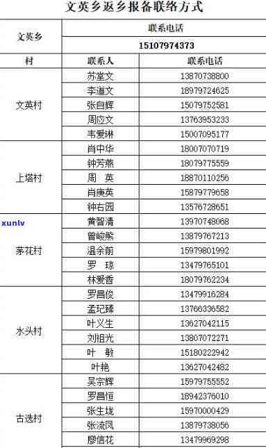 易武古树茶砖价格表大全：1000g及高清图片全览