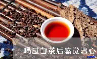 为什么喝了茶恶心想吐，探究喝完茶后恶心呕吐的原因