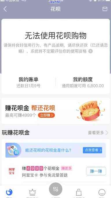 支付宝花呗显示逾期：起因、作用及解决办法