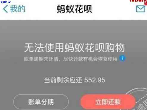 支付宝花呗账户有逾期表现怎么解决，怎样解决支付宝花呗账户的逾期疑问？