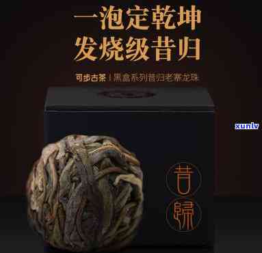 昔归古树黄金叶龙珠-昔归古树龙珠价格